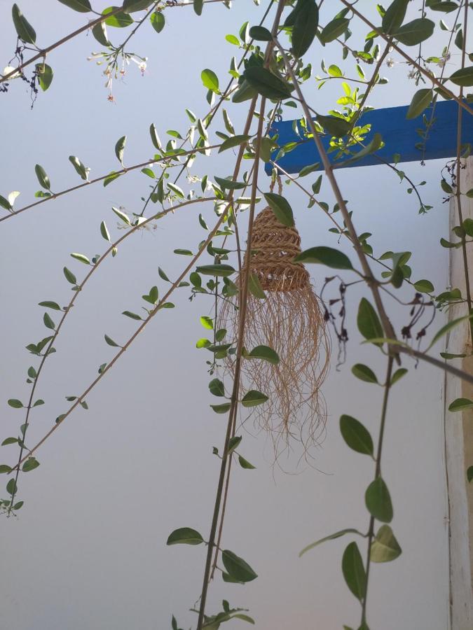 Dar Janis Djerba دار يانيس جربة Apartment Houmt Souk  Bilik gambar