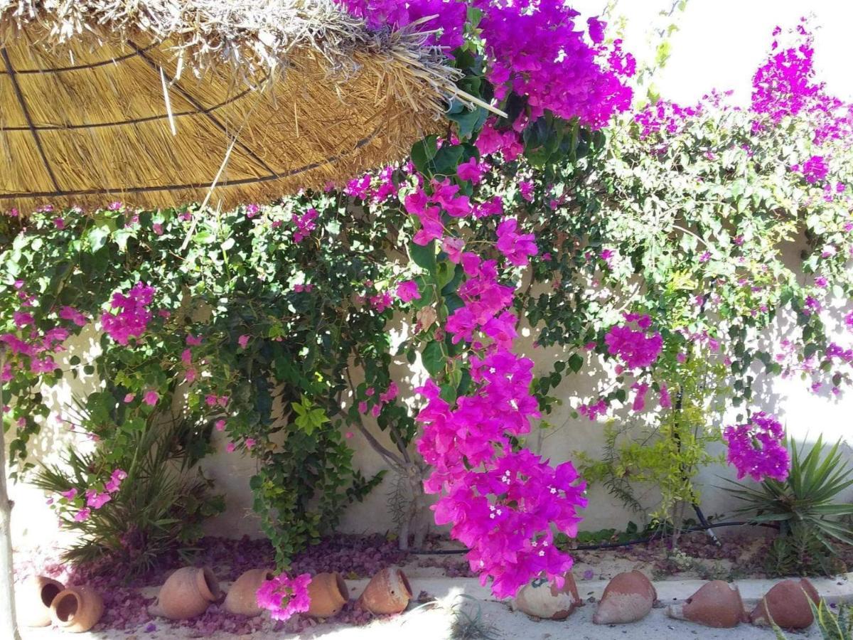 Dar Janis Djerba دار يانيس جربة Apartment Houmt Souk  Bilik gambar